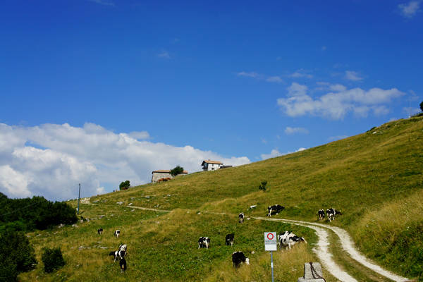 CampoCroce, Val Poise, Colli Vecchi, Monte Oro