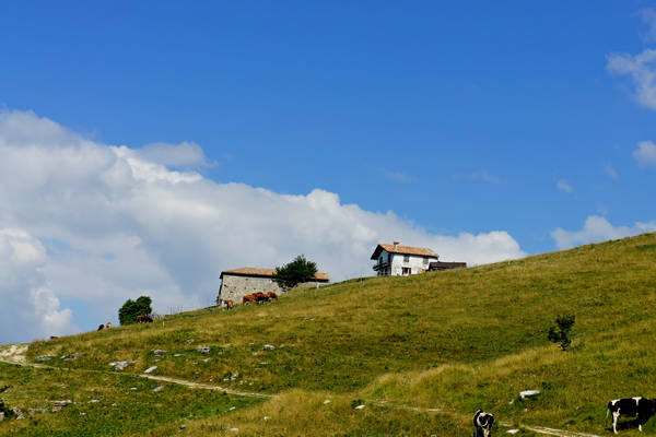 CampoCroce, Val Poise, Colli Vecchi, Monte Oro