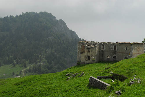 sentiero natura Cima Grappa