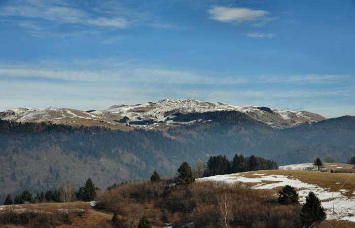 camminare nel monte Grappa