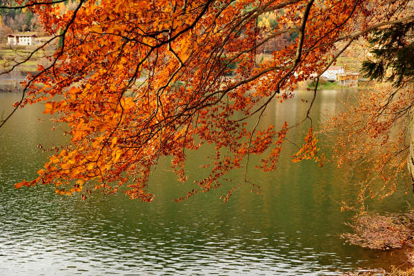 Altopiano di Piné, laghi Serraia e Piazze, Lagorai