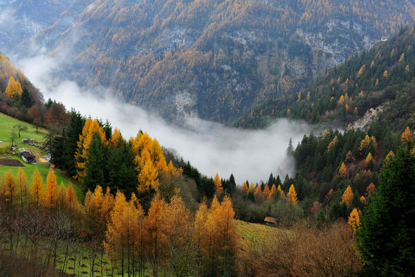 escursione alla Chiesetta di San Silvestro dal passo Gobbera sul monte Totoga