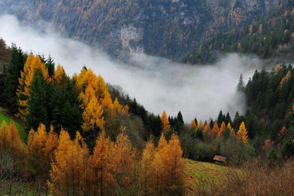 escursione alla Chiesetta di San Silvestro dal passo Gobbera sul monte Totoga