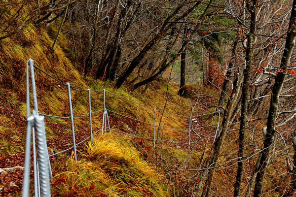escursione alla Chiesetta di San Silvestro dal passo Gobbera sul monte Totoga