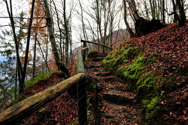 escursione alla Chiesetta di San Silvestro dal passo Gobbera sul monte Totoga