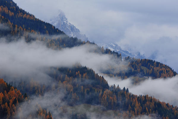 escursione alla Chiesetta di San Silvestro dal passo Gobbera sul monte Totoga