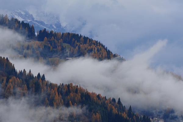 escursione alla Chiesetta di San Silvestro dal passo Gobbera sul monte Totoga