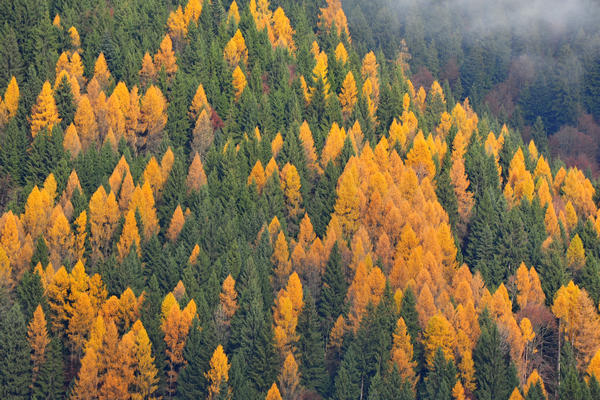 escursione alla Chiesetta di San Silvestro dal passo Gobbera sul monte Totoga