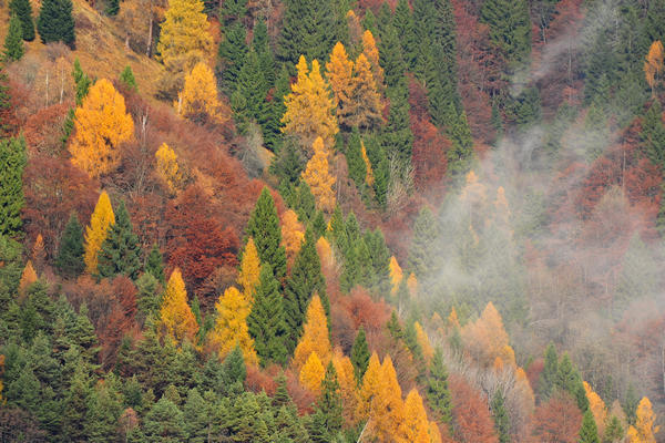 escursione alla Chiesetta di San Silvestro dal passo Gobbera sul monte Totoga