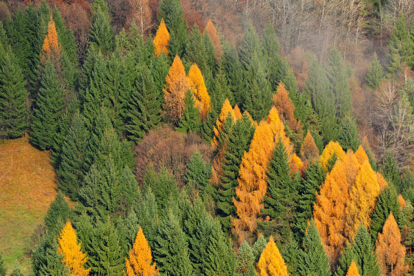 escursione alla Chiesetta di San Silvestro dal passo Gobbera sul monte Totoga