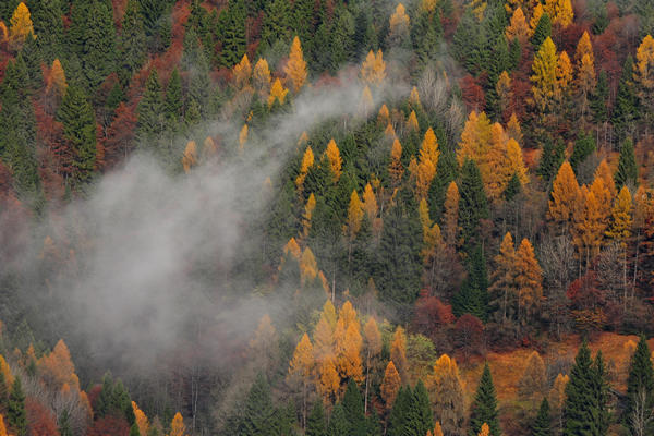 escursione alla Chiesetta di San Silvestro dal passo Gobbera sul monte Totoga