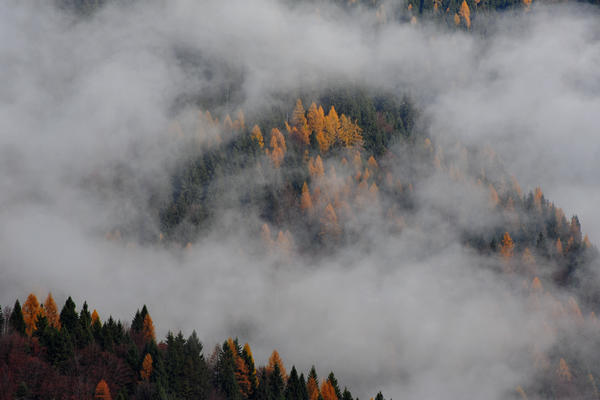 escursione alla Chiesetta di San Silvestro dal passo Gobbera sul monte Totoga