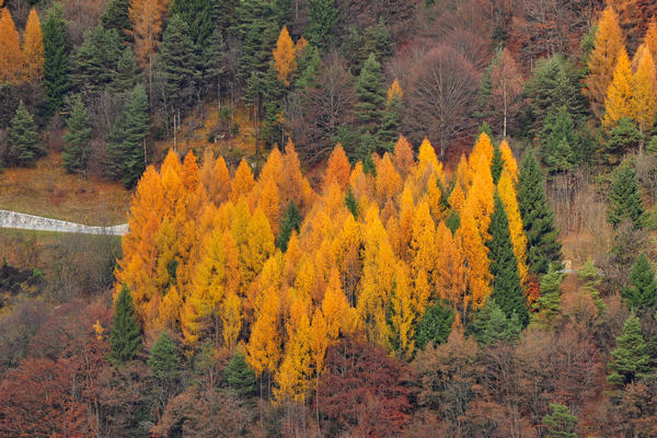 escursione alla Chiesetta di San Silvestro dal passo Gobbera sul monte Totoga