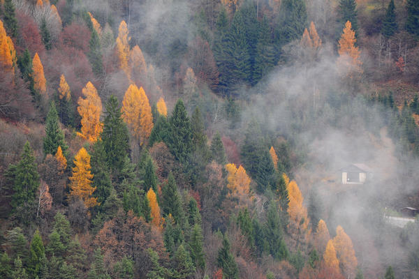 escursione alla Chiesetta di San Silvestro dal passo Gobbera sul monte Totoga