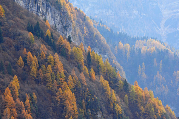 escursione alla Chiesetta di San Silvestro dal passo Gobbera sul monte Totoga
