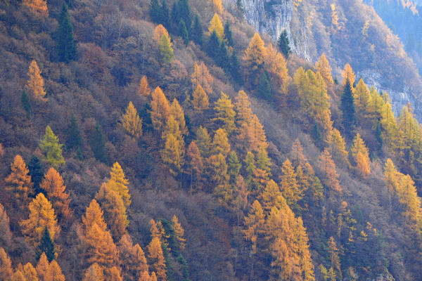 escursione alla Chiesetta di San Silvestro dal passo Gobbera sul monte Totoga