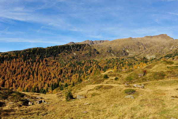 Col Margherita, catena Lusia Bocche, passo Valles, Falcade
