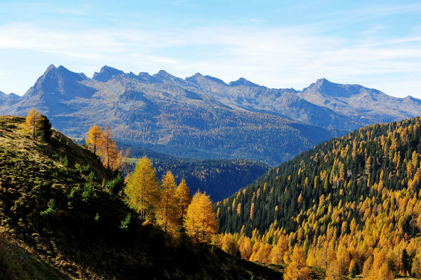 Col Margherita, catena Lusia Bocche, passo Valles, Falcade