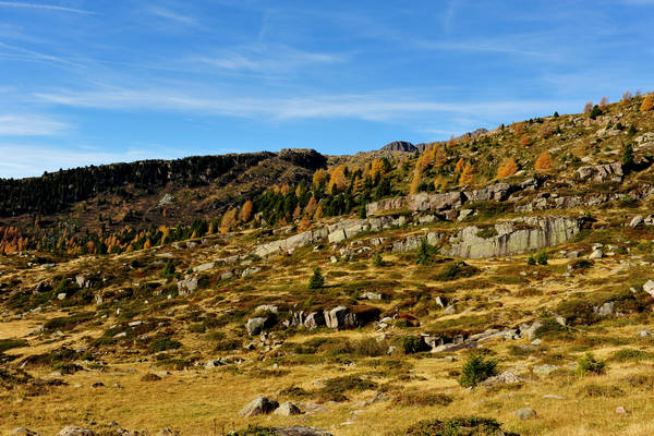 Col Margherita, catena Lusia Bocche, passo Valles, Falcade