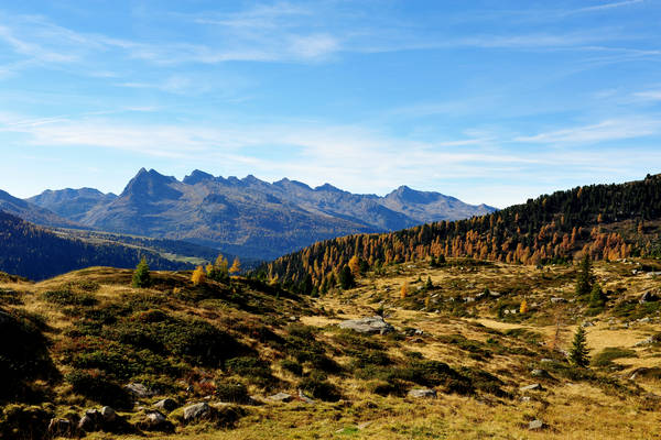 Col Margherita, catena Lusia Bocche, passo Valles, Falcade