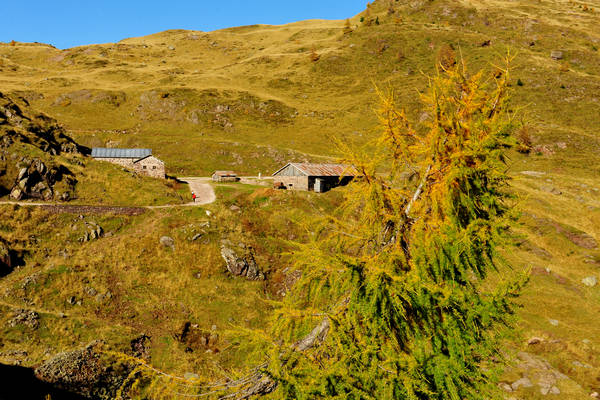 Col Margherita, catena Lusia Bocche, passo Valles, Falcade