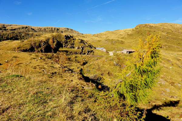 Col Margherita, catena Lusia Bocche, passo Valles, Falcade