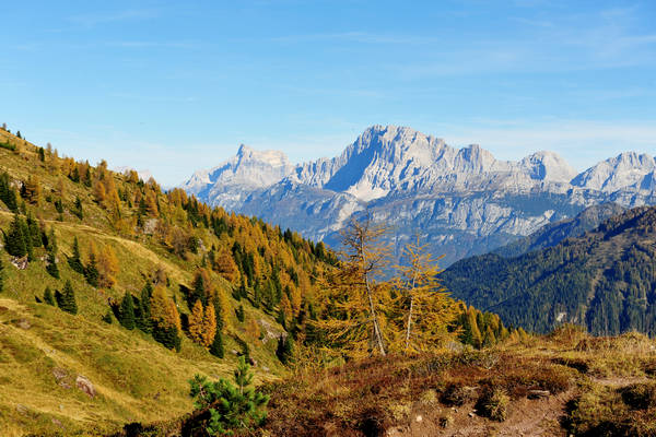 Col Margherita, catena Lusia Bocche, passo Valles, Falcade
