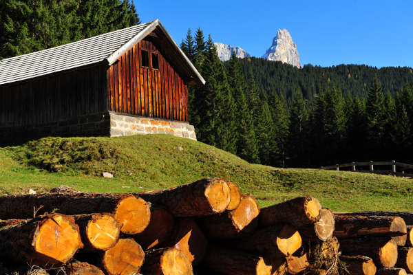 Paneveggio Pale di San Martino