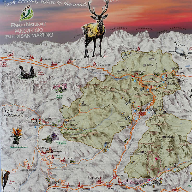 Parco Paneveggio Pale San Martino