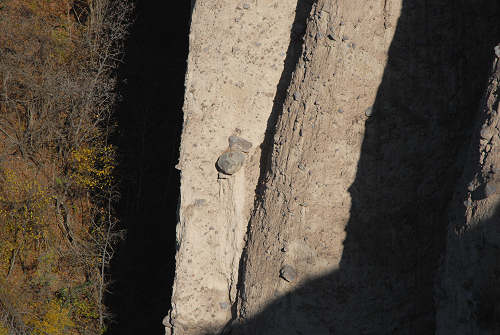 Piramidi di terra a Segonzano in Val Cembra