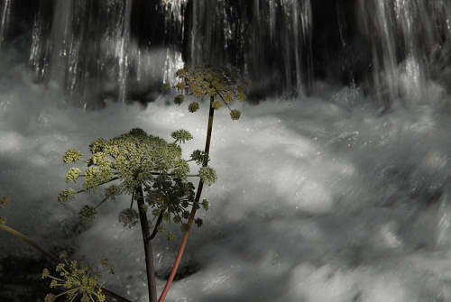 sentiero etnografico della Valle del Vanoi a Caoria di Canal San Bovo