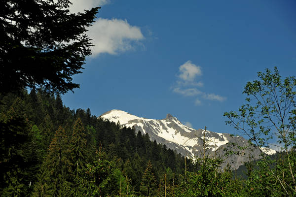 passeggiata Chiesetta Pront, val Regana, rif. R.Sordo, Refavaie