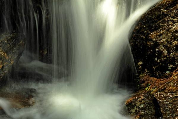 passeggiata Chiesetta Pront, val Regana, rif. R.Sordo, Refavaie
