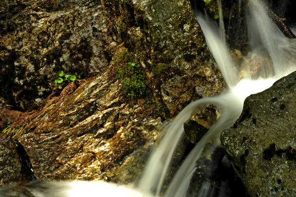 passeggiata Chiesetta Pront, val Regana, rif. R.Sordo, Refavaie