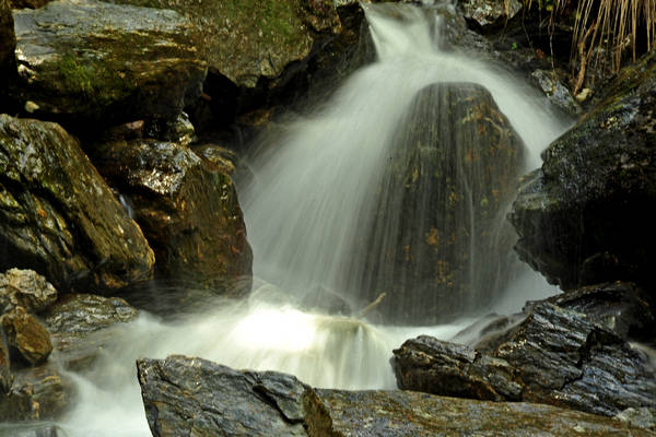 passeggiata Chiesetta Pront, val Regana, rif. R.Sordo, Refavaie
