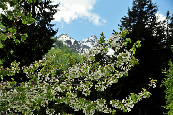 passeggiata Chiesetta Pront, val Regana, rif. R.Sordo, Refavaie