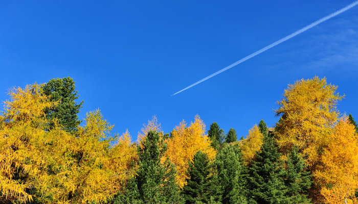 passo Cinque Croci, Lagorai