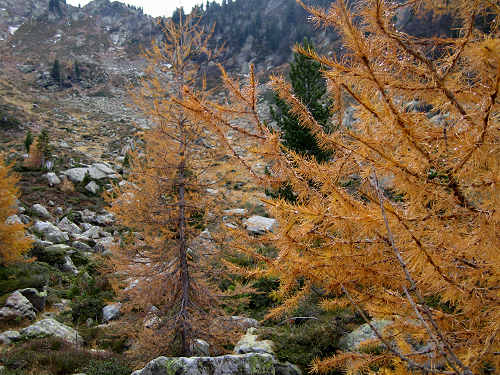 Trekking delle Leggende - Catena del Lagorai