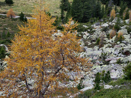 Trekking delle Leggende - Catena del Lagorai