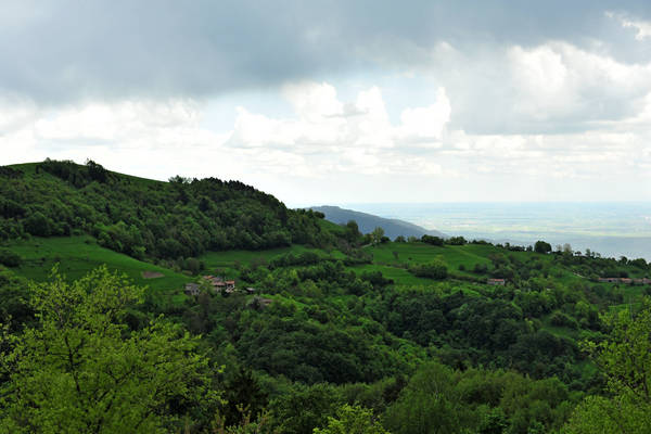 Sprea di Badia Calavena