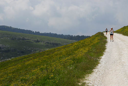 Podestaria di Bosco Chiesanuova, Lessini