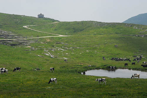 Podestaria di Bosco Chiesanuova, Lessini