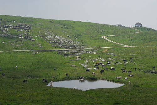 Podestaria di Bosco Chiesanuova, Lessini