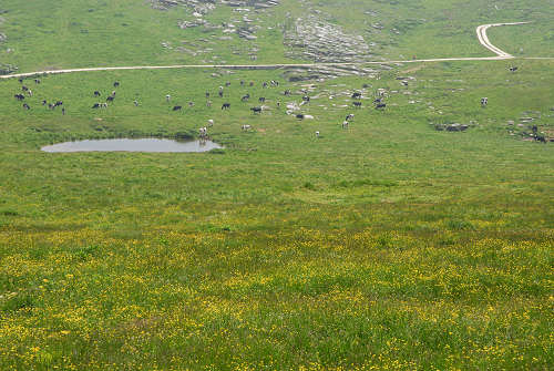 Podestaria di Bosco Chiesanuova, Lessini