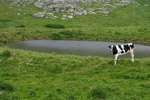 Podestaria di Bosco Chiesanuova, Lessini