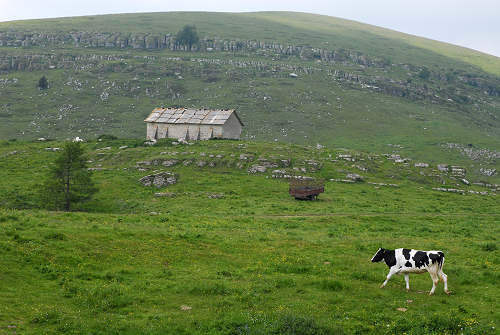 Podestaria di Bosco Chiesanuova, Lessini