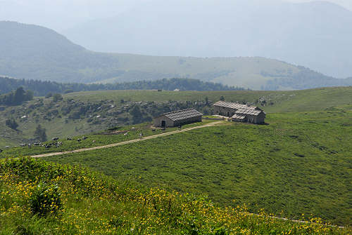 Malga Lessinia, monte Castelberto, Podestaria, Lessini