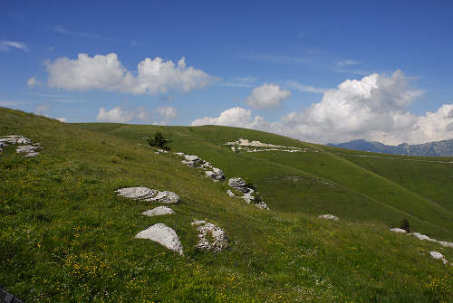 Malga Lessinia, monte Castelberto, Podestaria, Lessini
