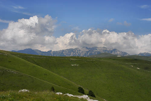 Malga Lessinia, monte Castelberto, Podestaria, Lessini