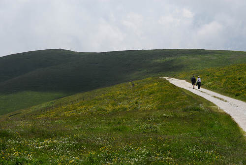 Malga Lessinia, monte Castelberto, Podestaria, Lessini